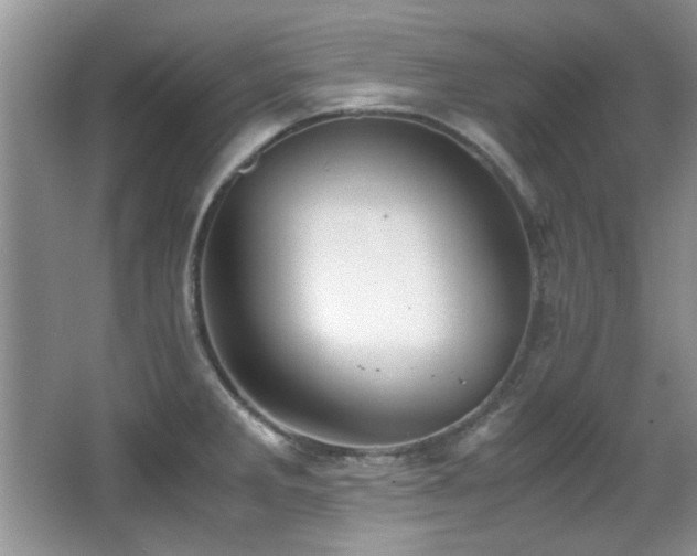 X0000067001285200603241332