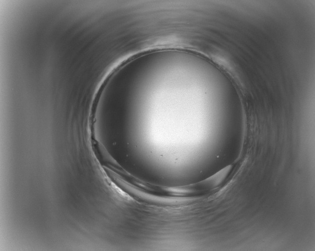 X0000067001288200603241332