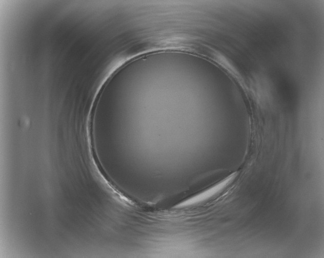 X0000067001291200603241332