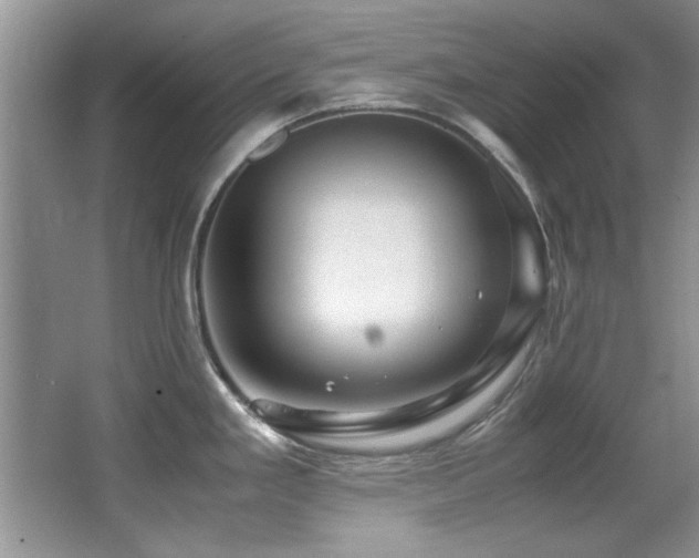 X0000067001293200603241332