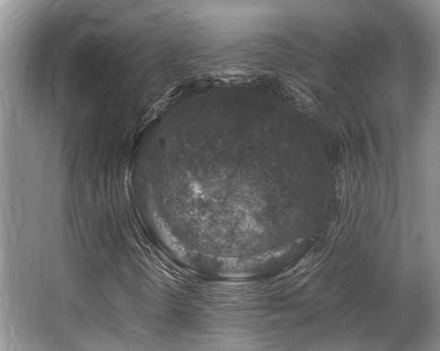 X0000067001298200603241331