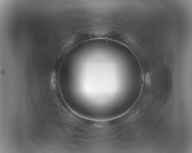 X0000067001299200603241331