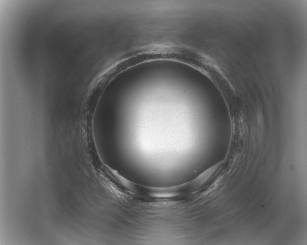 X0000067001304200603241332