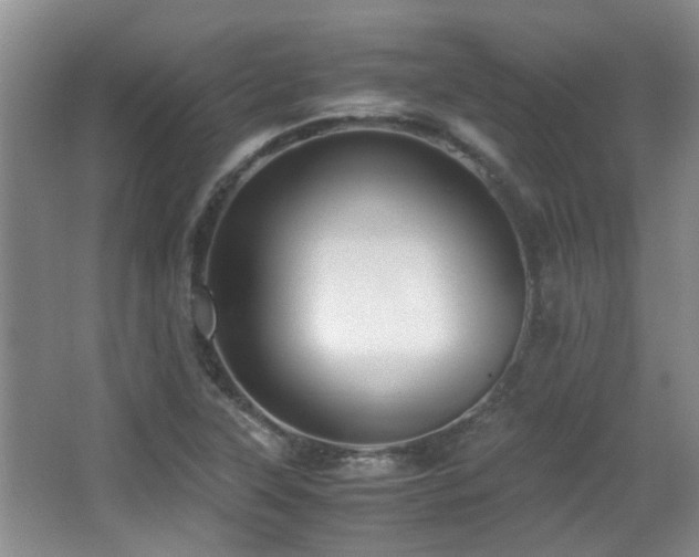 X0000067001315200603241332