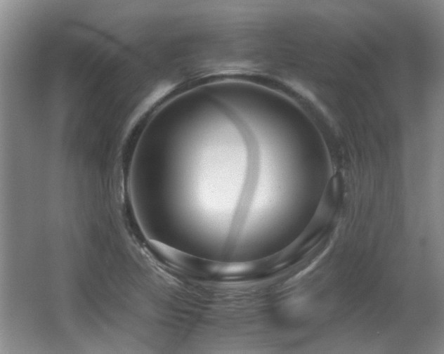 X0000067001317200603241332