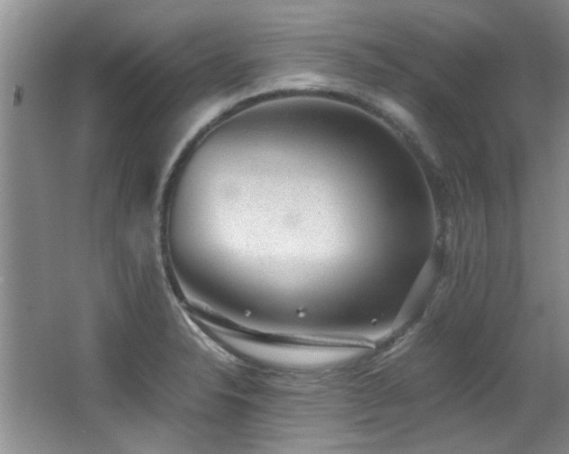X0000067001326200603241332
