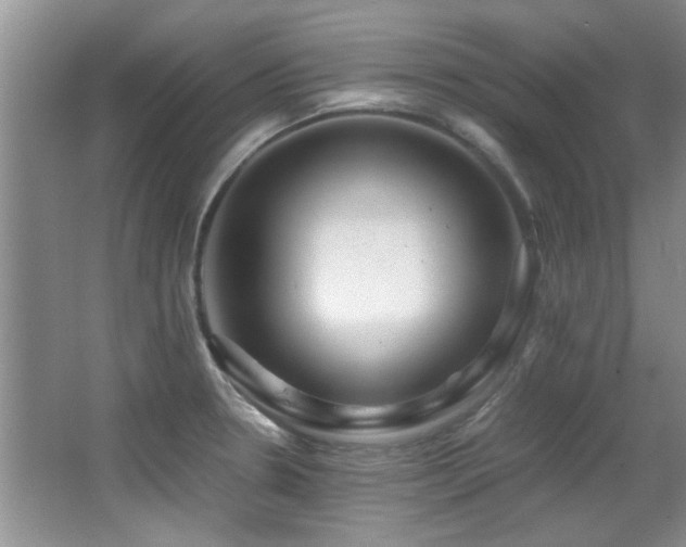 X0000067001330200603241332