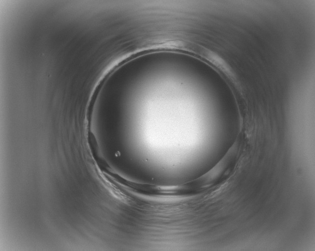 X0000067001332200603241332