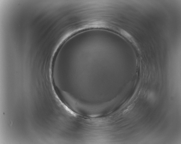 X0000067001334200603241332