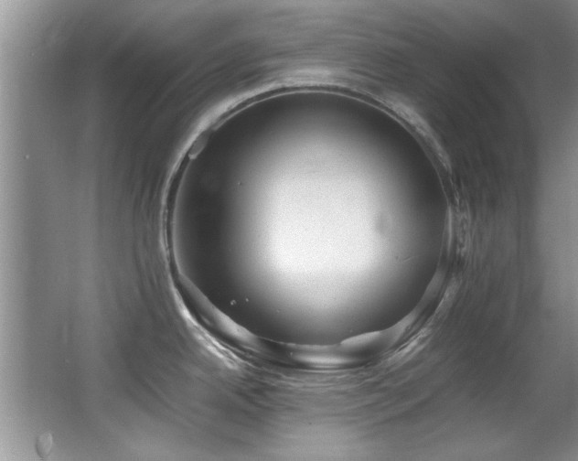 X0000067001342200603241332