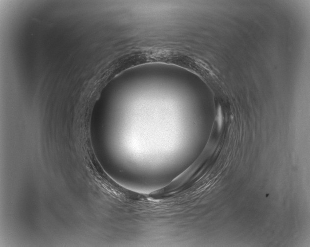 X0000067001345200603241331