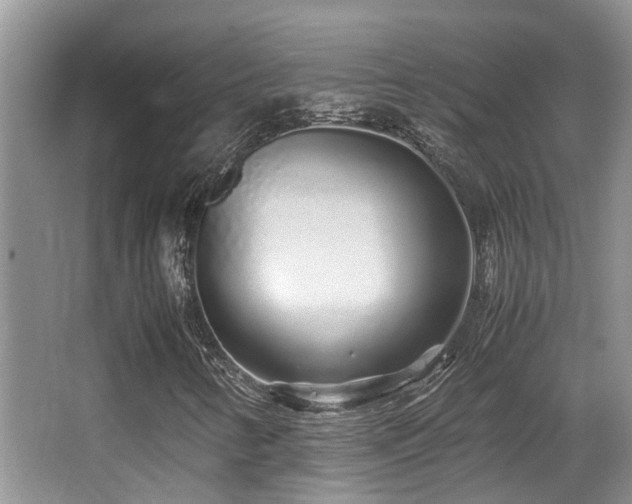 X0000067001346200603241331