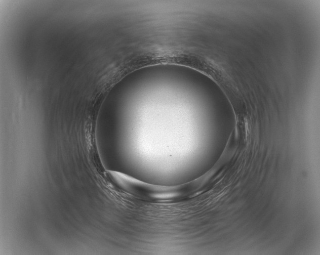 X0000067001348200603241331