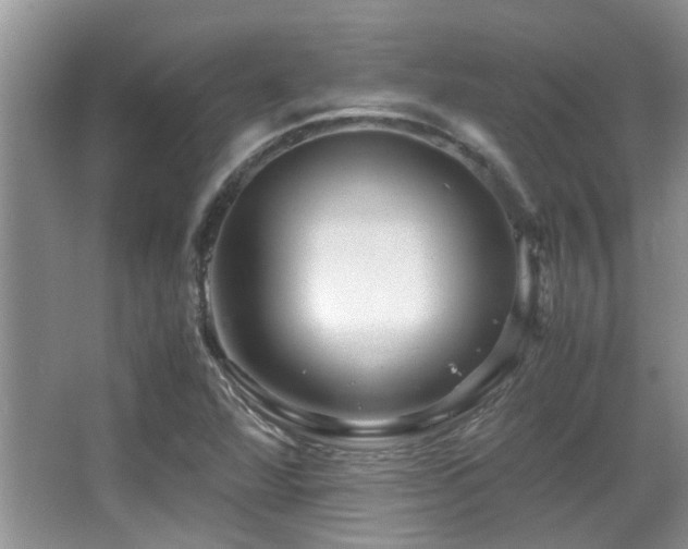 X0000067001360200603241331