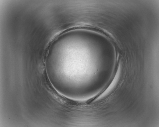 X0000067001363200603241331