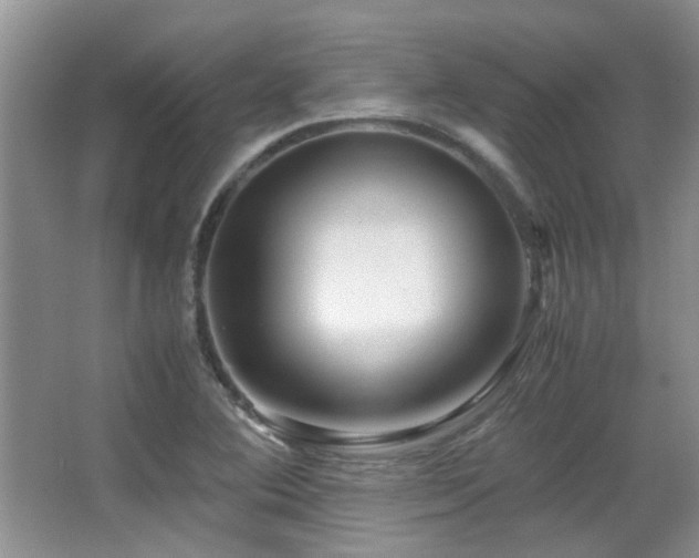 X0000067001364200603241331