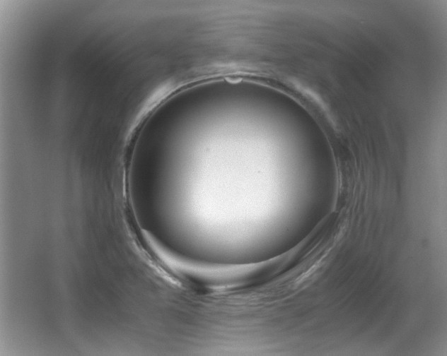 X0000067001365200603241331