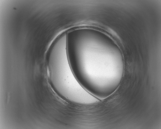 X0000067001368200603241331
