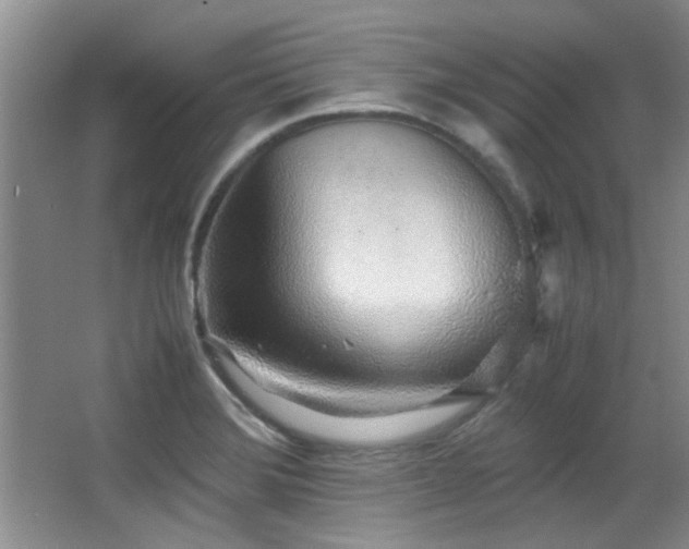 X0000067001372200603241331