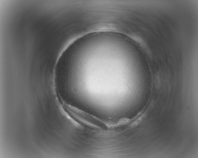 X0000067001374200603241331