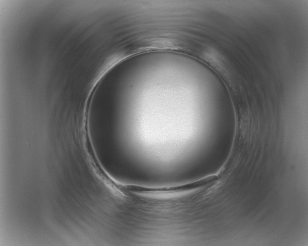 X0000067001378200603241331