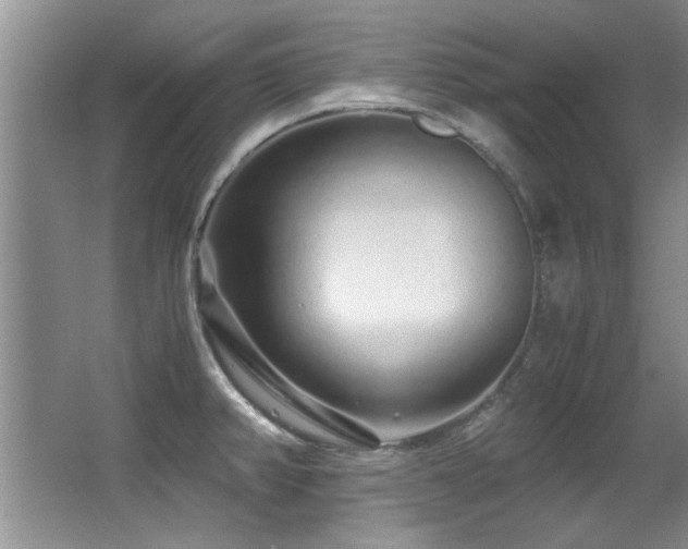 X0000067001382200603241331
