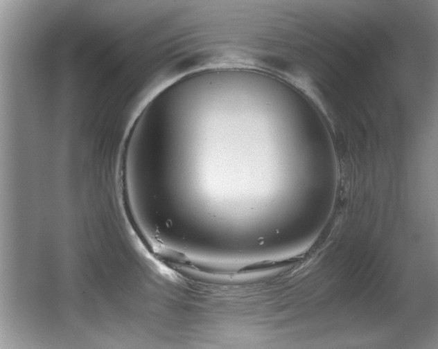 X0000067001387200603241331