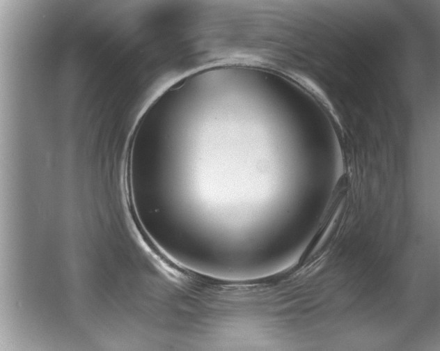 X0000067001391200603241331