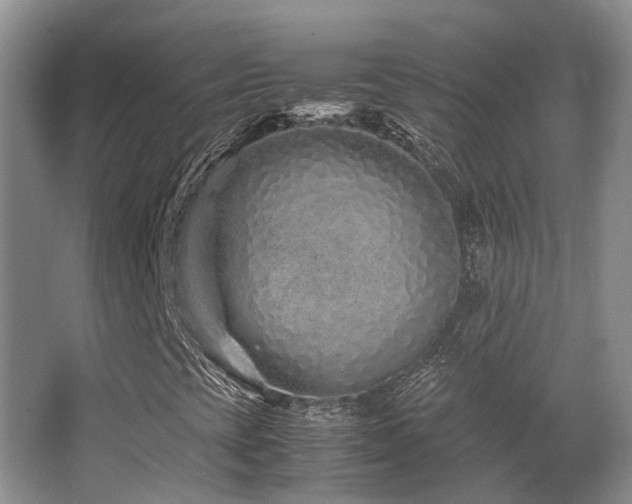 X0000067001393200603241330