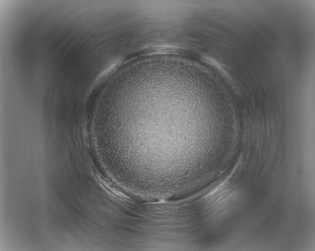 X0000067001403200603241330