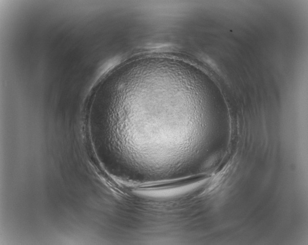 X0000067001405200603241330