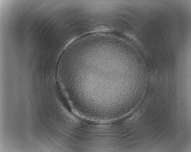 X0000067001409200603241330