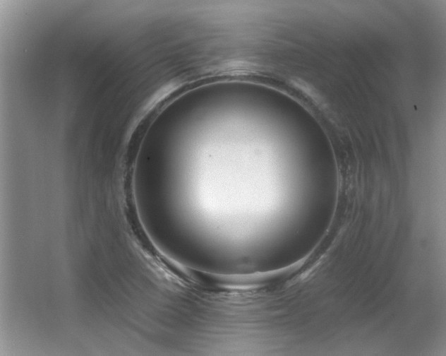 X0000067001410200603241330