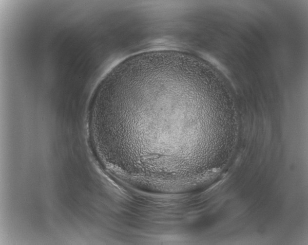 X0000067001415200603241330