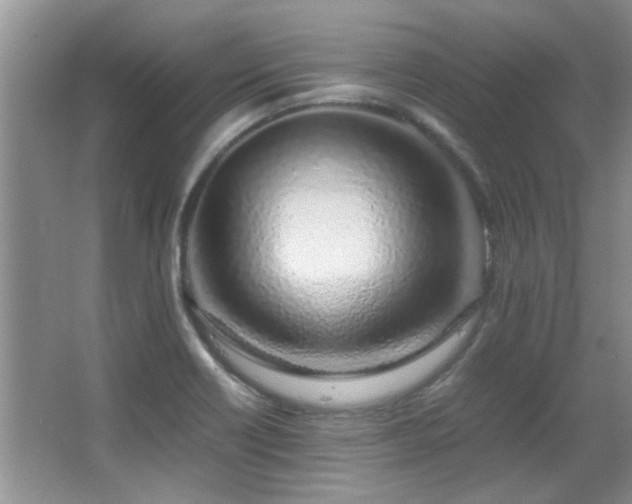 X0000067001418200603241330