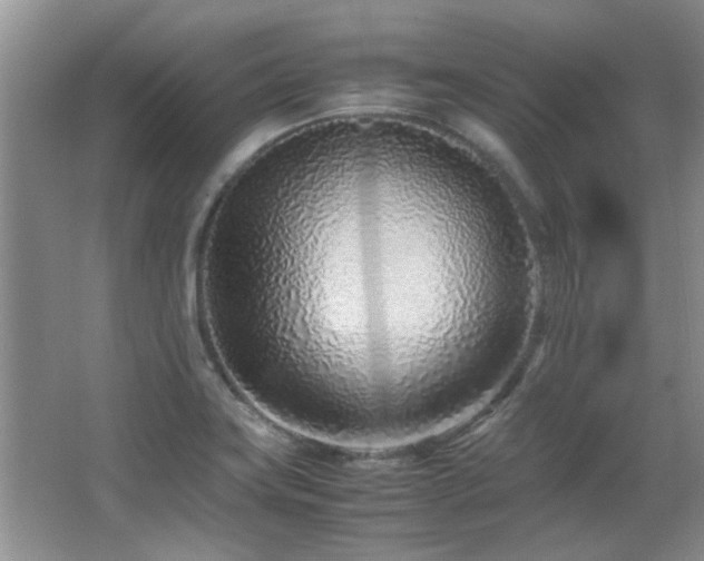 X0000067001419200603241330