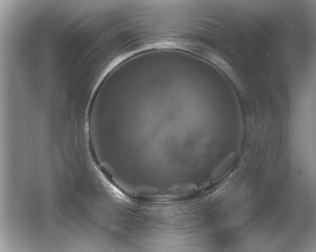 X0000067001428200603241330