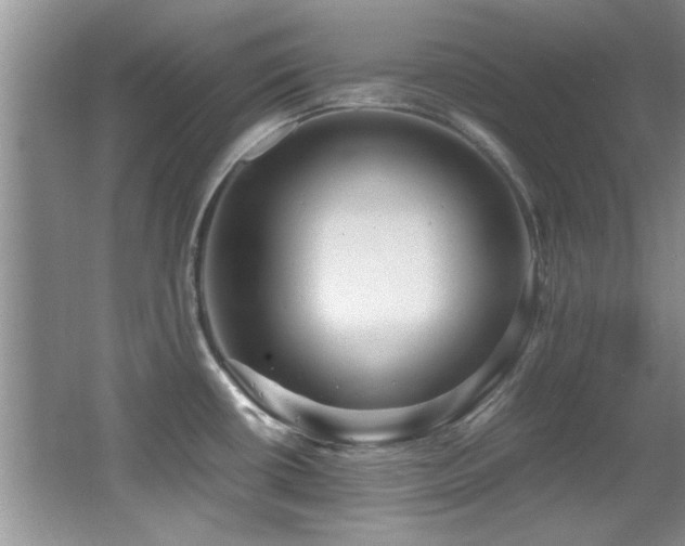 X0000067001434200603241331