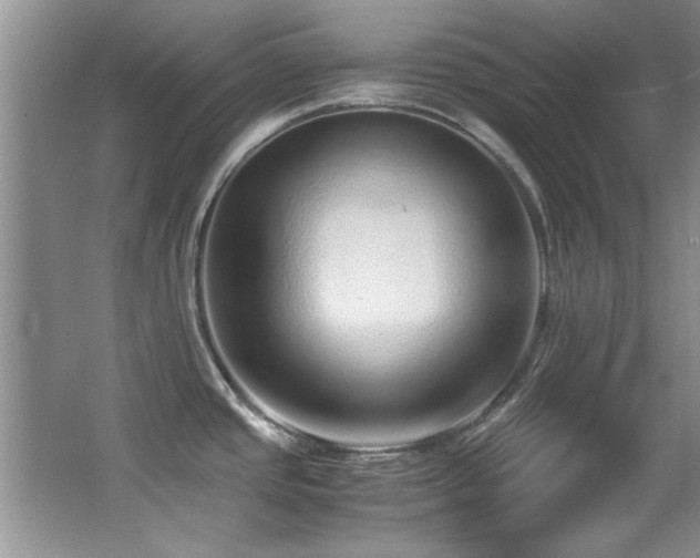 X0000067001437200603241331