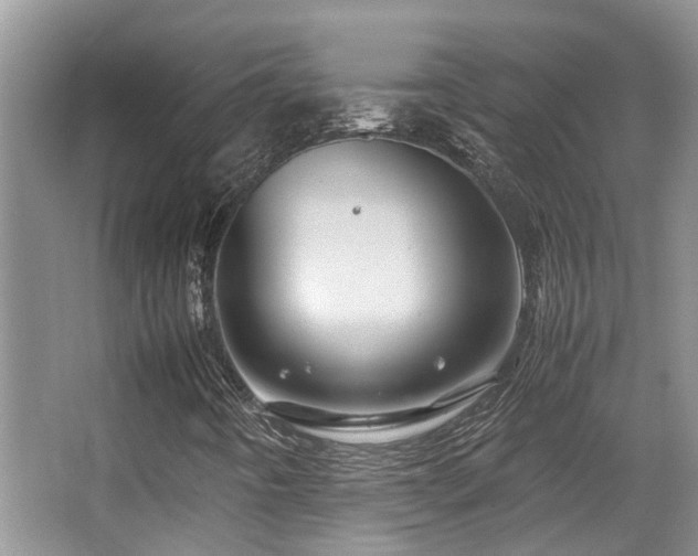 X0000067001442200603241330