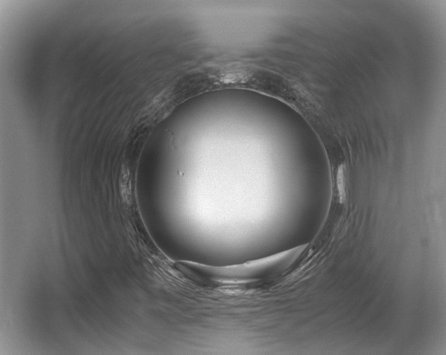 X0000067001443200603241330