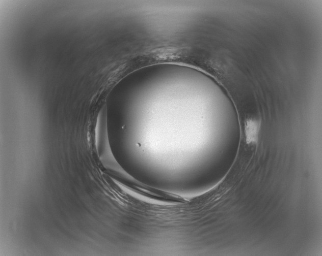 X0000067001444200603241330