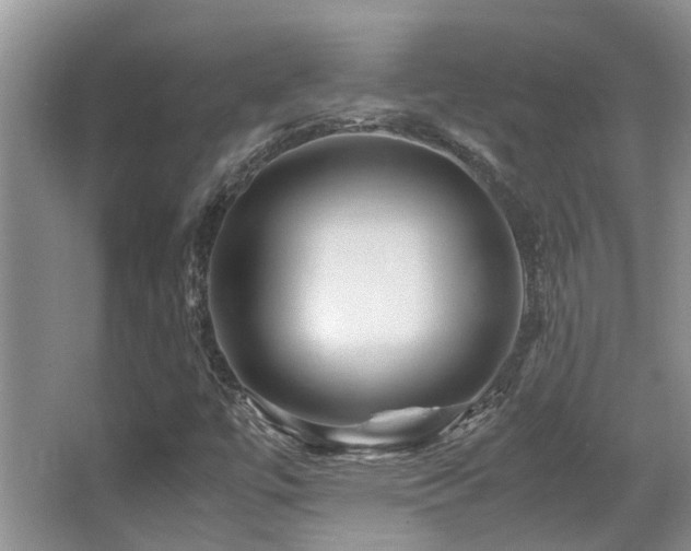 X0000067001447200603241330