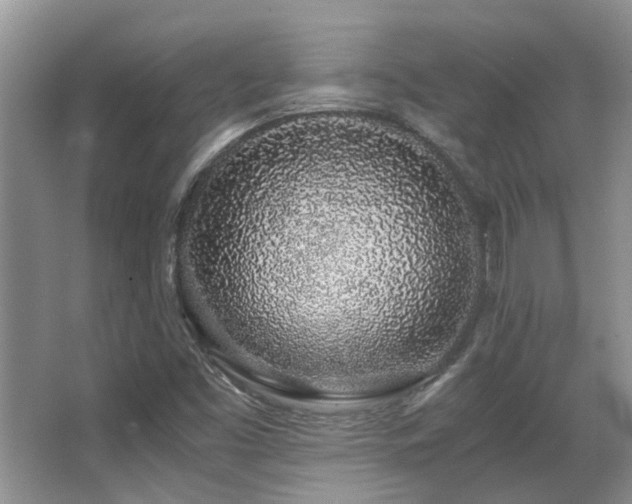X0000067001453200603241330