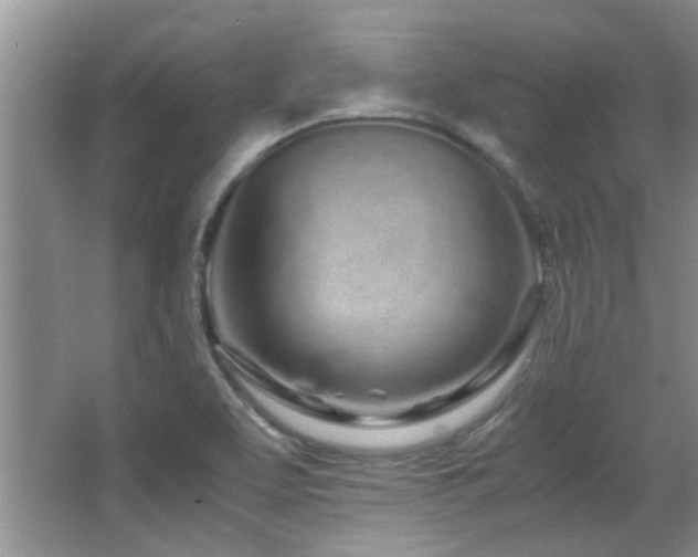X0000067001463200603241329
