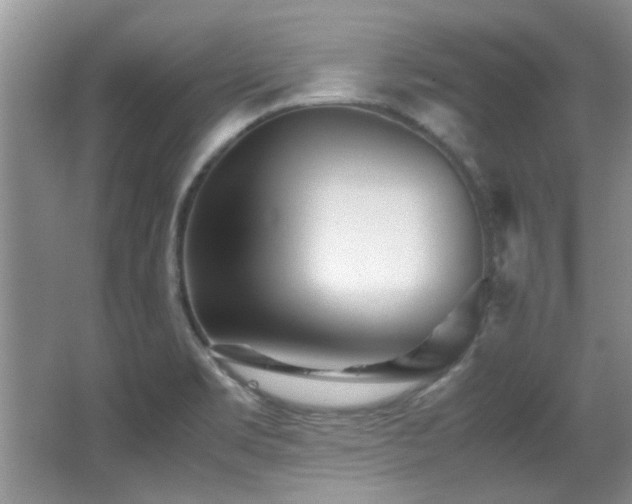 X0000067001469200603241329