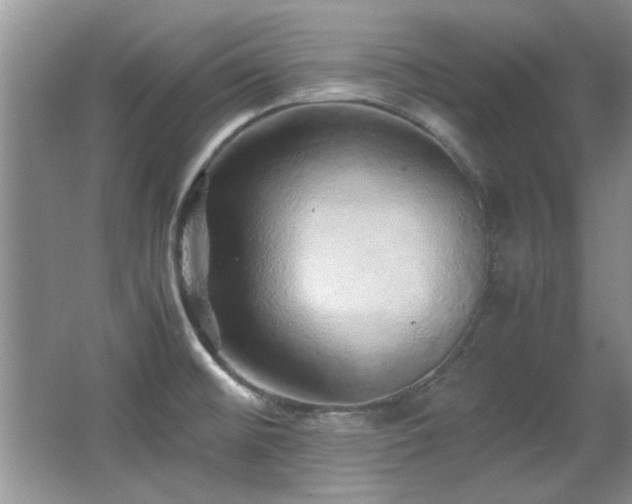 X0000067001476200603241329