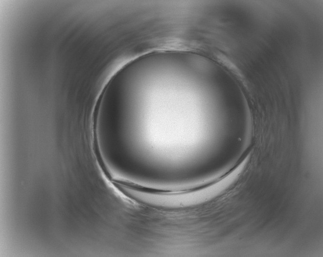 X0000067001479200603241329