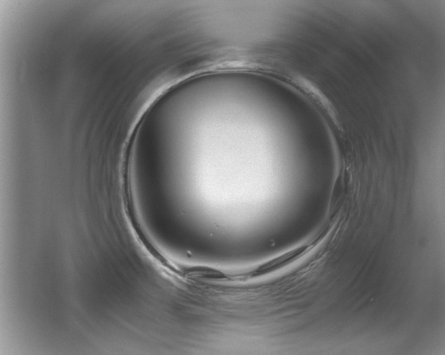 X0000067001483200603241329