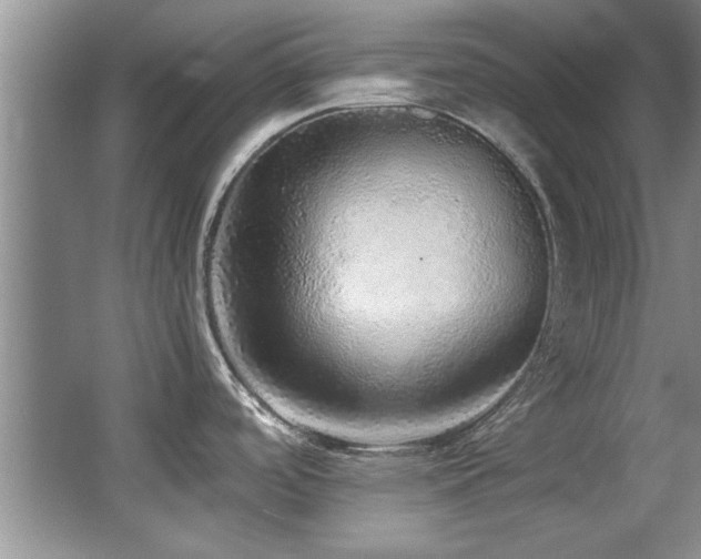 X0000067001488200603241329